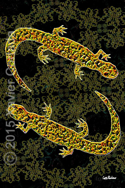 Xavier Cortada, \“(Florida is…) Reticulated Flatwoods Salamanders,\” archival ink on aluminum, 60\″ x 40\″, 2015.