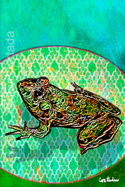 Xavier Cortada, \“(Florida is…) Florida Bog Frogs,\” archival ink on aluminum, 60\″ x 40\”, 2016