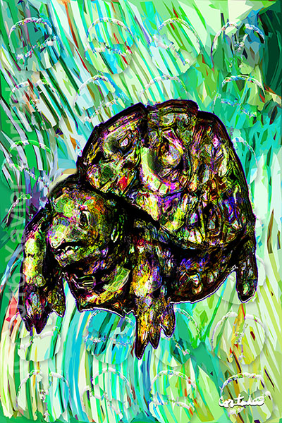 Xavier Cortada, \“(Florida is…) Gopher tortoises,\” archival ink on aluminum, 60\″ x 40\”, 2016