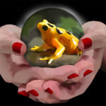 Panamanian Golden Frog