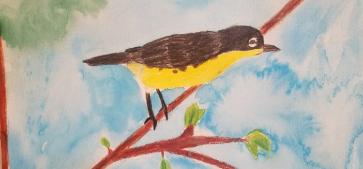 Florida is the Kirtland’s Warbler