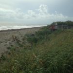 Florida is …. Beautiful beaches being protected by Sea Oats!