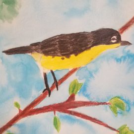 Florida is the Kirtland’s Warbler